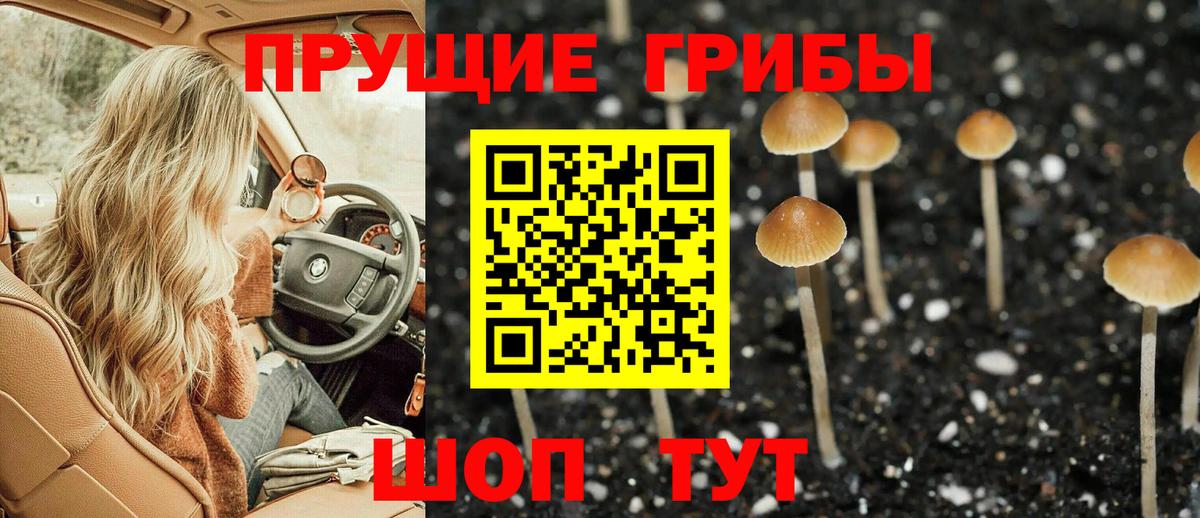 Псилоцибиновые грибы Cubensis Сургут