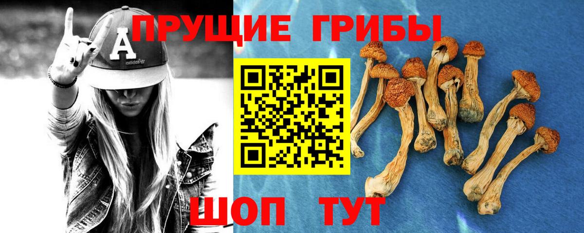 Псилоцибиновые грибы Magic Shrooms  Вход с VPN  Сургут 